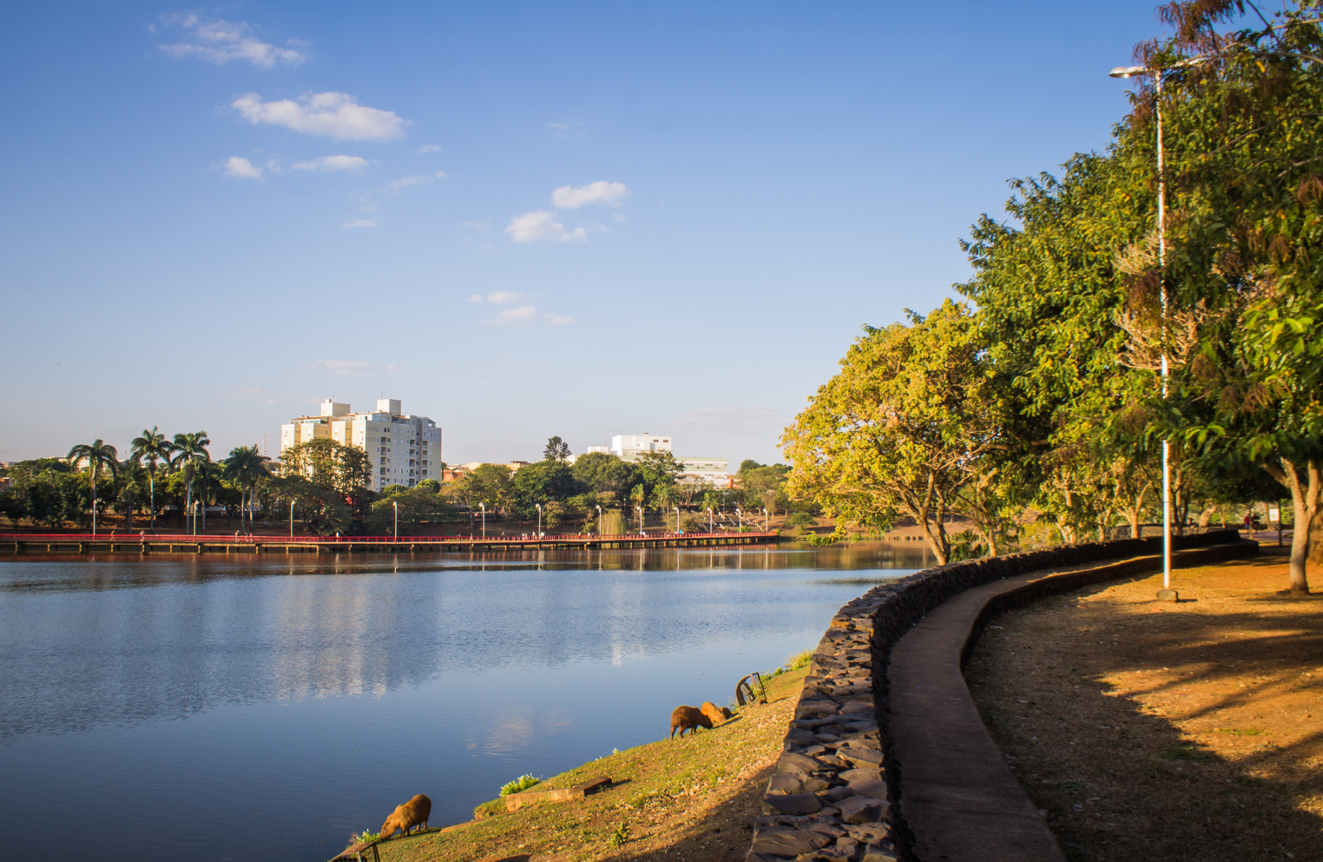 Sao jose do rio preto